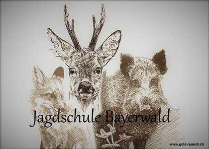 Image:Jagdschule Bayerwald