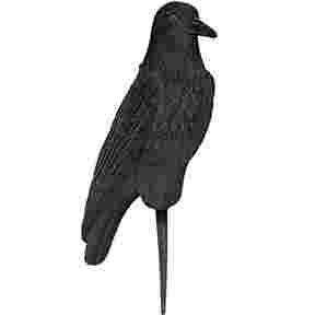 Bird decoy, Crow, feathered, 42 cm
