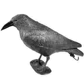 Bird decoy, Crow 38 cm with spring stick