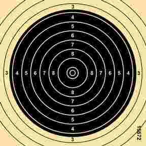 Small caliber target, 50 m, braun-network